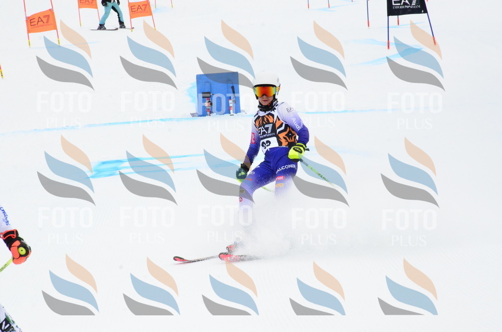 _ELE3494 | holidayphoto