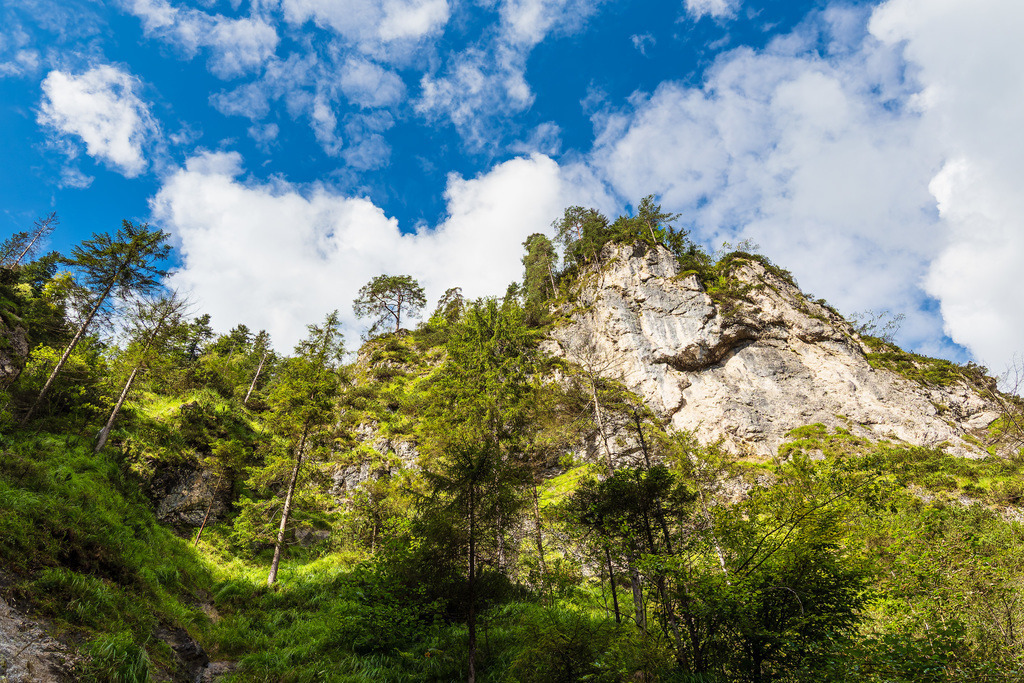 Die Almbachklamm im Berchtesgadener Land | Die Almbachklamm im Berchtesgadener Land.