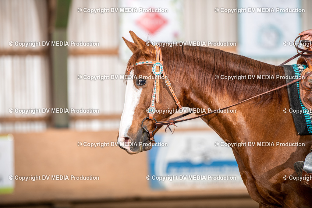 Balingen Tag 2-852 | dv-media-shop - Realisiert mit Pictrs.com