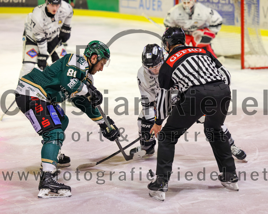 2026-01-30_088_TSV_Erding_gegen_EHF_Passau_Black_Hawks | Erding, Deutschland, 30.01.2026:Eishockey, Oberliga Süd 2025 / 2026, 42. Spieltag, TSV Erding gegen EHF Passau Black Hawks, Endergebnis: 2:6Maximilian Forster (Erding Gladiators, #81)Foto: Christian Riedel / fotografie-riedel.net