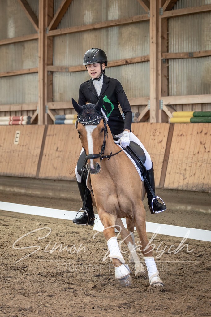 20251011-_3LI7373 | Tierfotografie Pferde, Hunde, Katzen, Haustiere.
Turnierfotografie Reitturniere, Reiten, Springreiten, Dressur in Hanau, dem Main-Kinzig-Kreis und dem Rhein-Main- Gebiet um Frankfurt