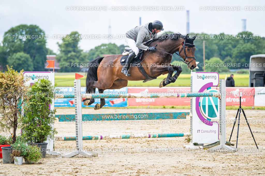 DSC03870 | Pferdegrafie