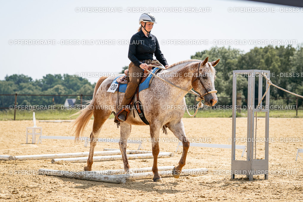 DSC00603 | Pferdegrafie