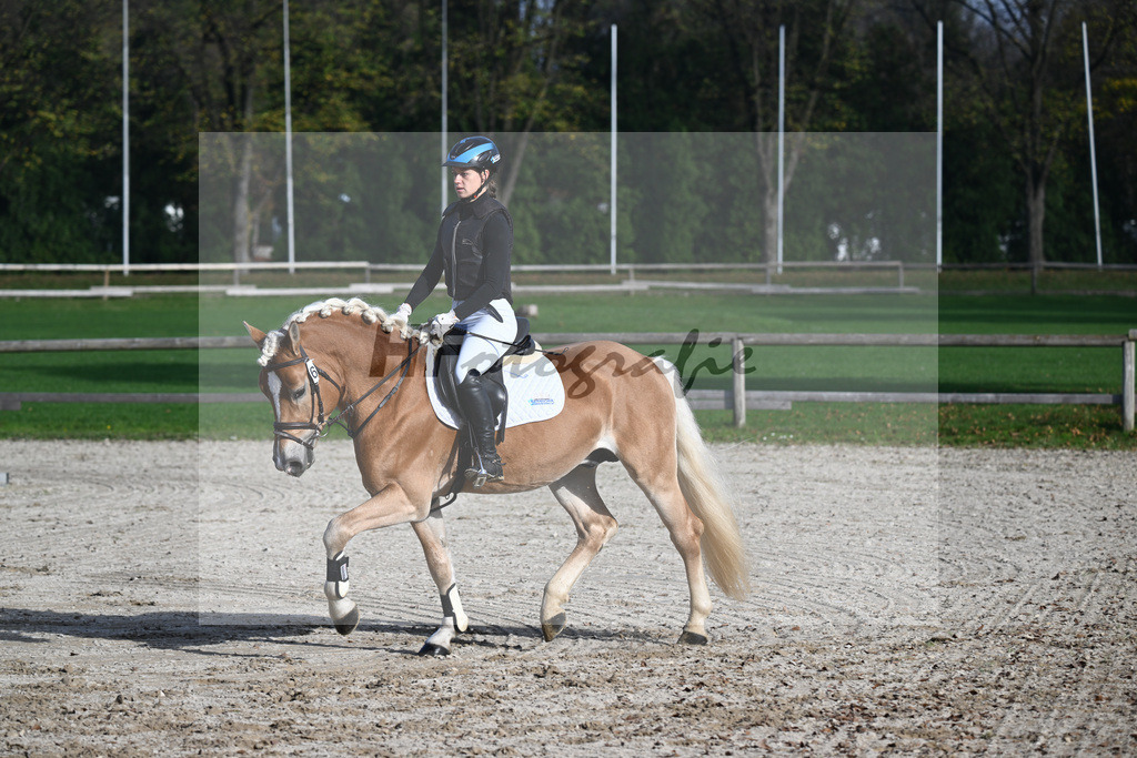 Kat-Nr. 6 Solero-D_Mahlknecht_44240844 | hf-fotografie - Realisiert mit Pictrs.com