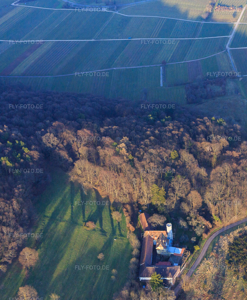 Luftbild: Slevogthof Neukastel in Leinsweiler im Bundesland Rheinland-Pfalz in Deutschland. Foto: IMG_105119.jpg vom 24.03.2018 durch Werner Riehm/FLY-FOTO.de