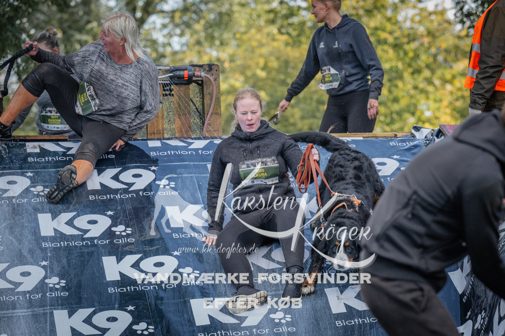 1556_ZZ91421 | kk-dogfotos