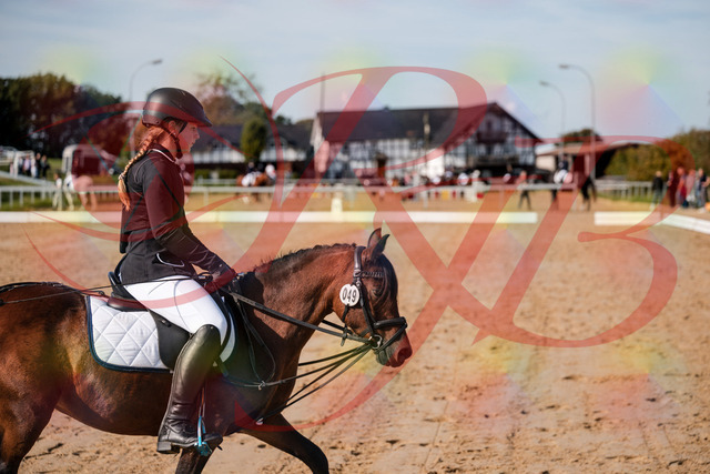 2026_10_03_Siefer-Hof_120544_Z63_36595915 | Professionelle Reitsport-, Turnier- und Eventfotografie von Robert Broda. Galerien mit ausgewählten und bearbeiteten Bildern direkt online ansehen und bestellen.