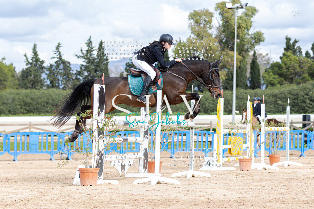 IMG_2675 | s-jay-photography - Realisiert mit Pictrs.com