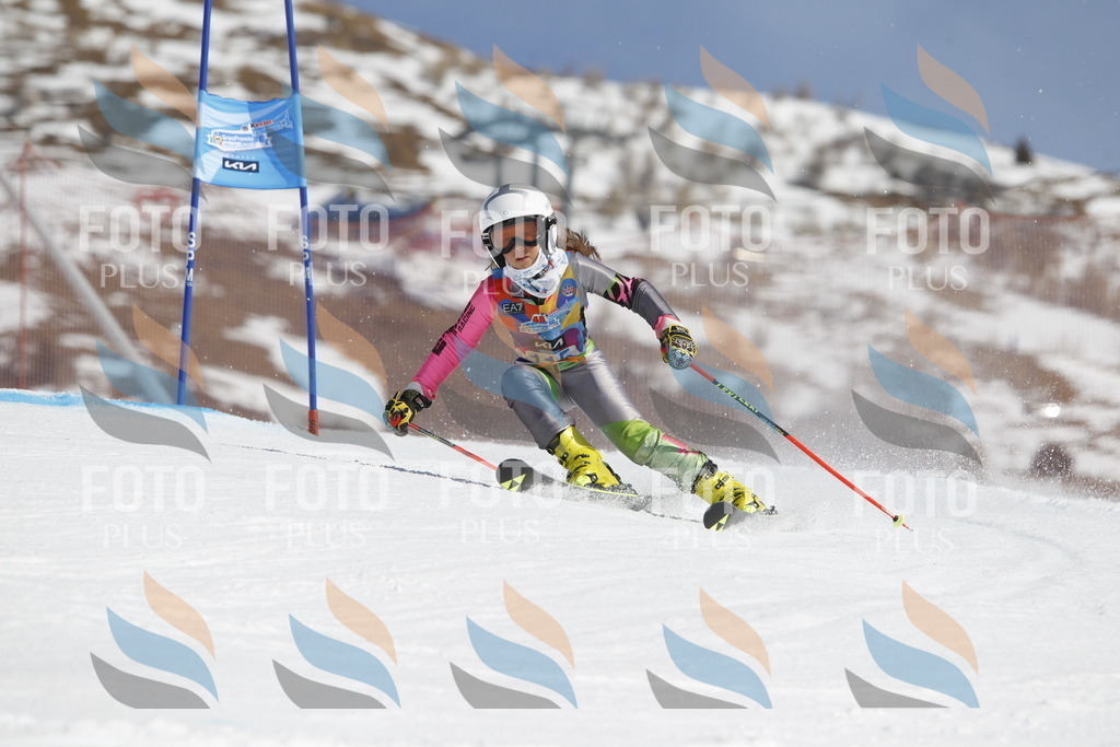 _U3G0600 | holidayphoto