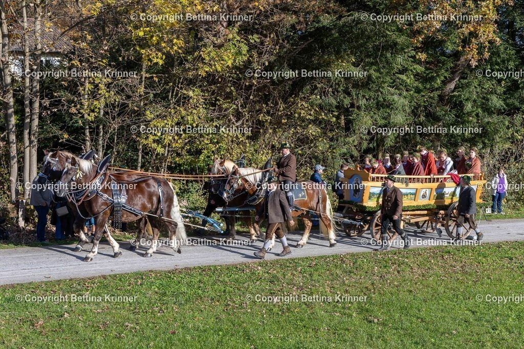 LBT24-619 | foto-bettina-krinner - Realisiert mit Pictrs.com