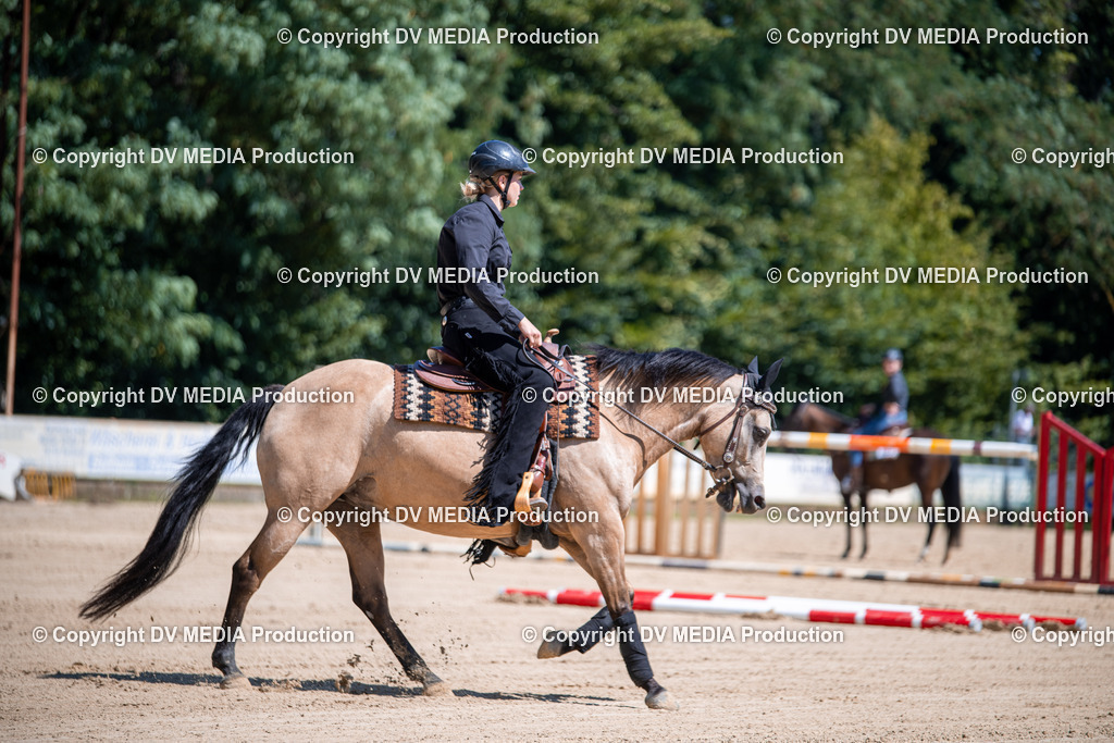 ZS1_1061 | dv-media-shop - Realisiert mit Pictrs.com