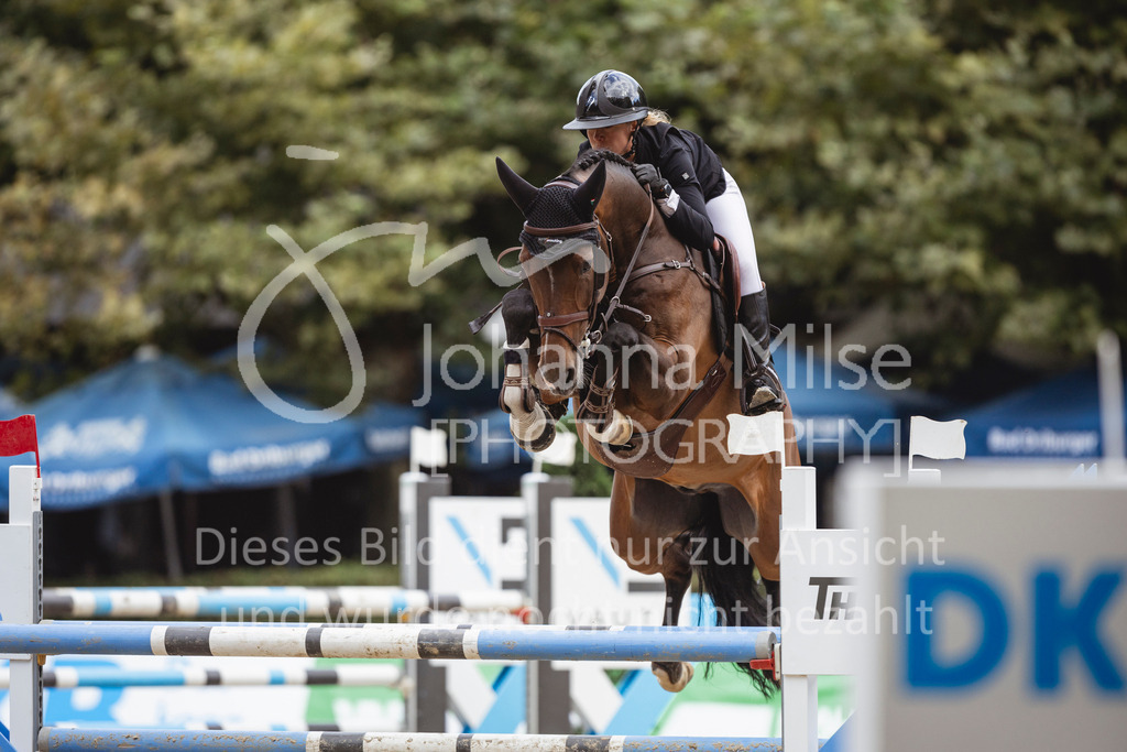 240915_OWLCh_Youngster6y-503 | Deine schönsten Turniermomente als professionelle Fotos! Entdecke hochwertige Pferdesport-Fotografie im Online-Shop. Jetzt Fotos finden & bestellen!