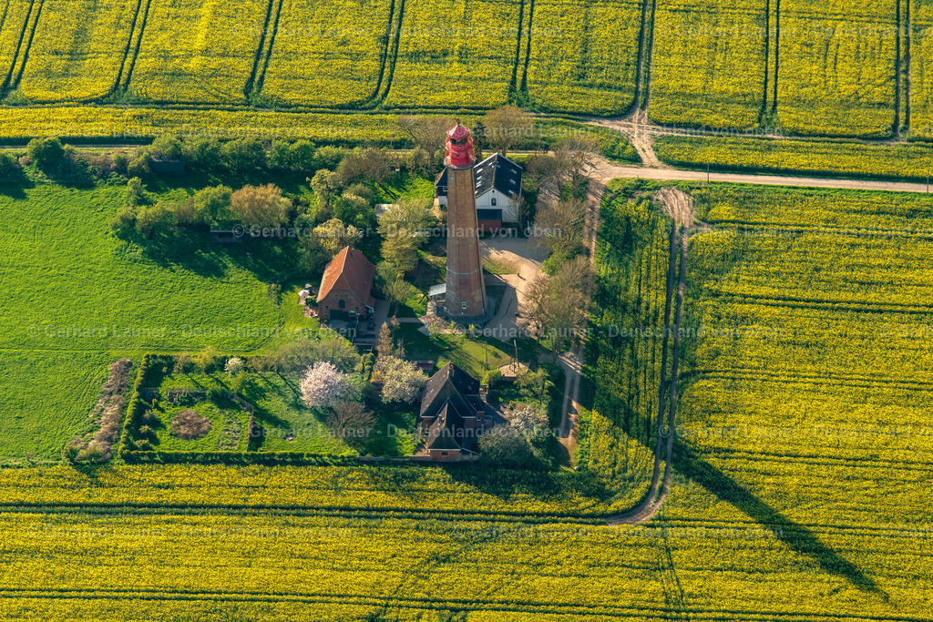 3802240 | Raps-Feldstrukturen am Leuchtturm Flügge, Fehmarn