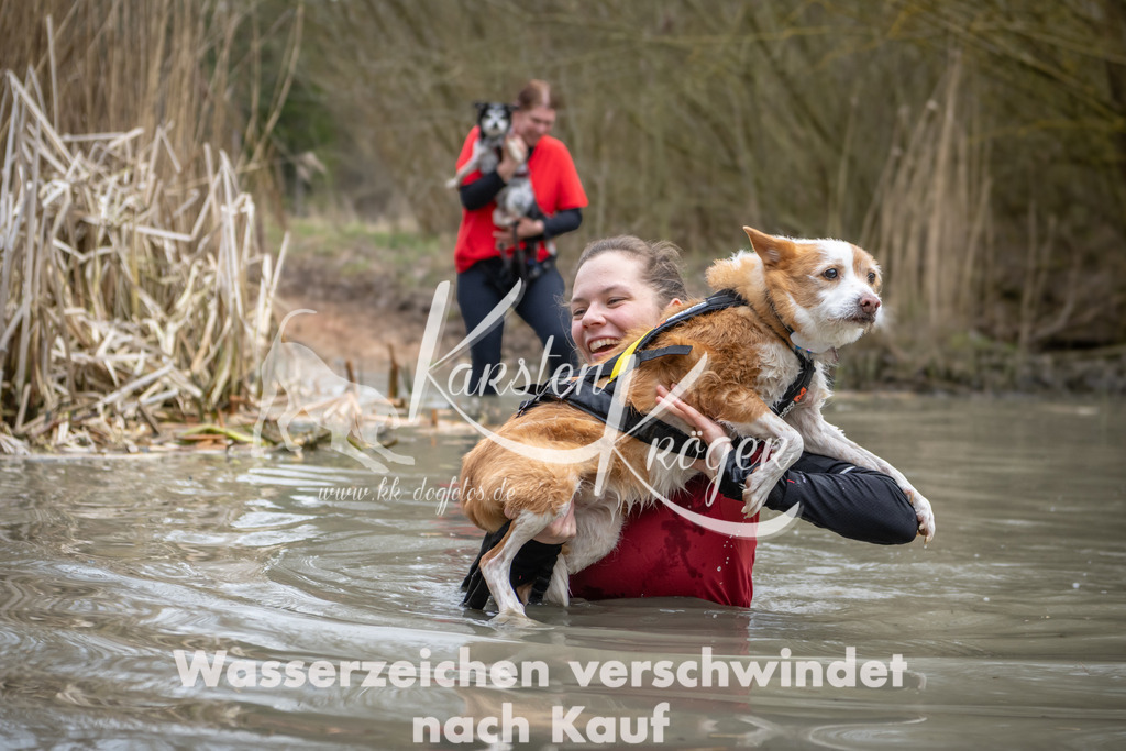 1415_ZZ97720 | kk-dogfotos