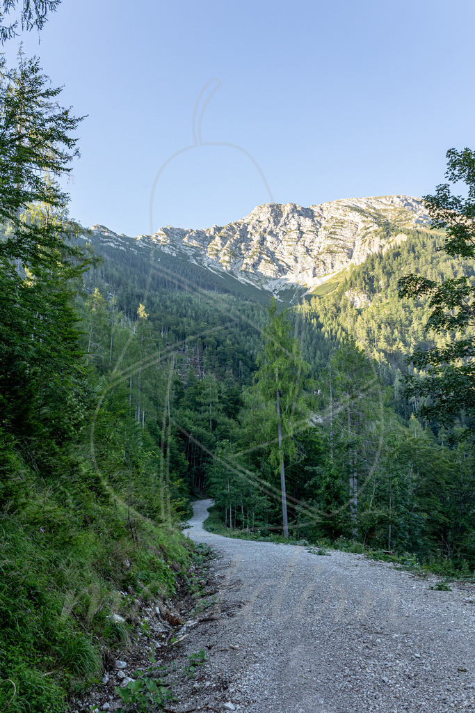 Rauher Kamm | Ihre Fotografin im Lungau, ihre Fotografin im Mostviertel, Wandbilder Onlineshop, Imagefotos für Ihr Unternehmen,  - Realisiert mit Pictrs.com