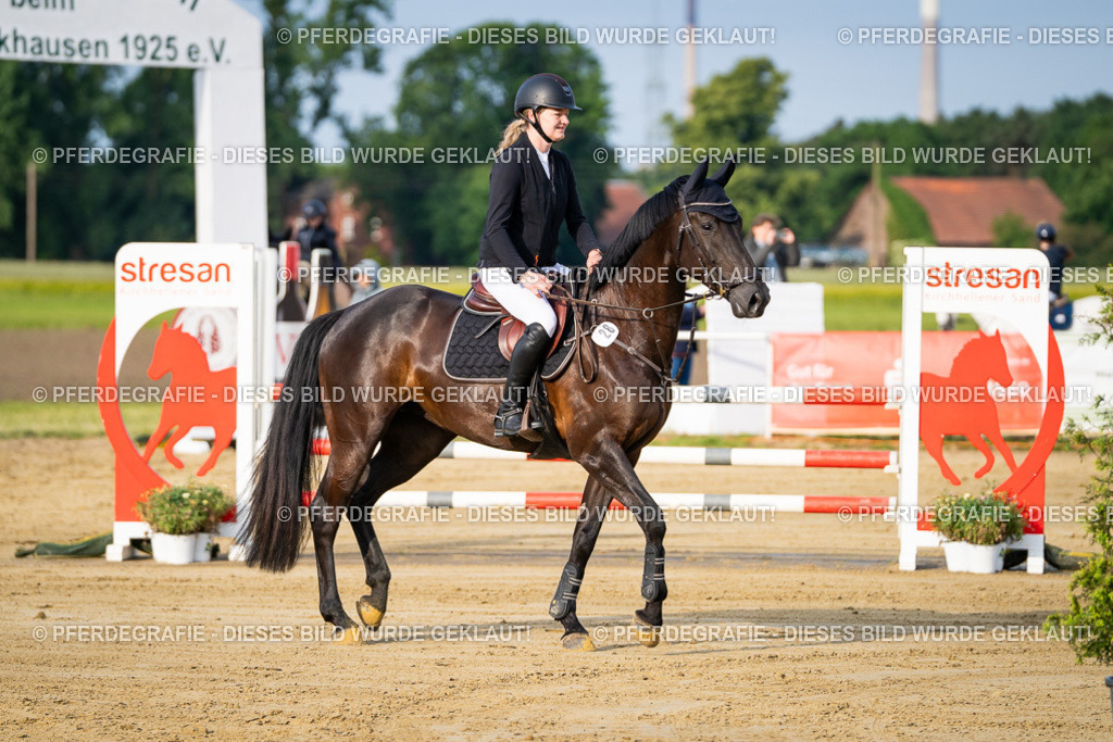 DSC02414 | Pferdegrafie