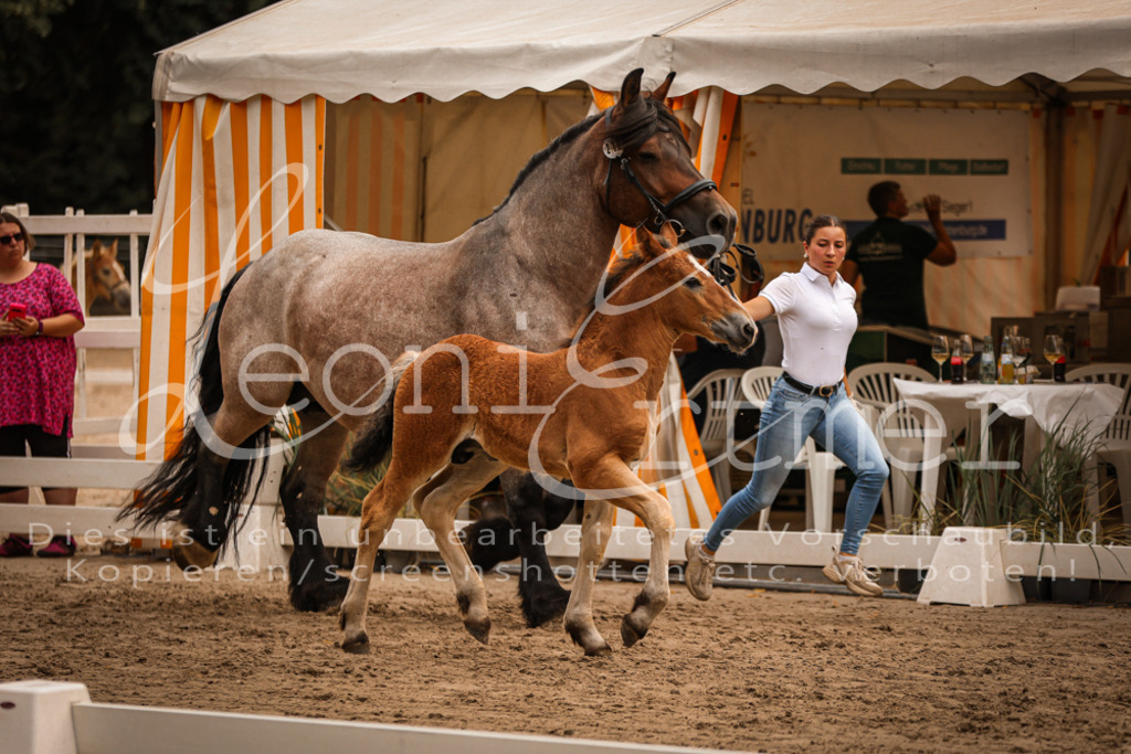 SaHF00004 | Leoni Ertmer Photography - Realisiert mit Pictrs.com