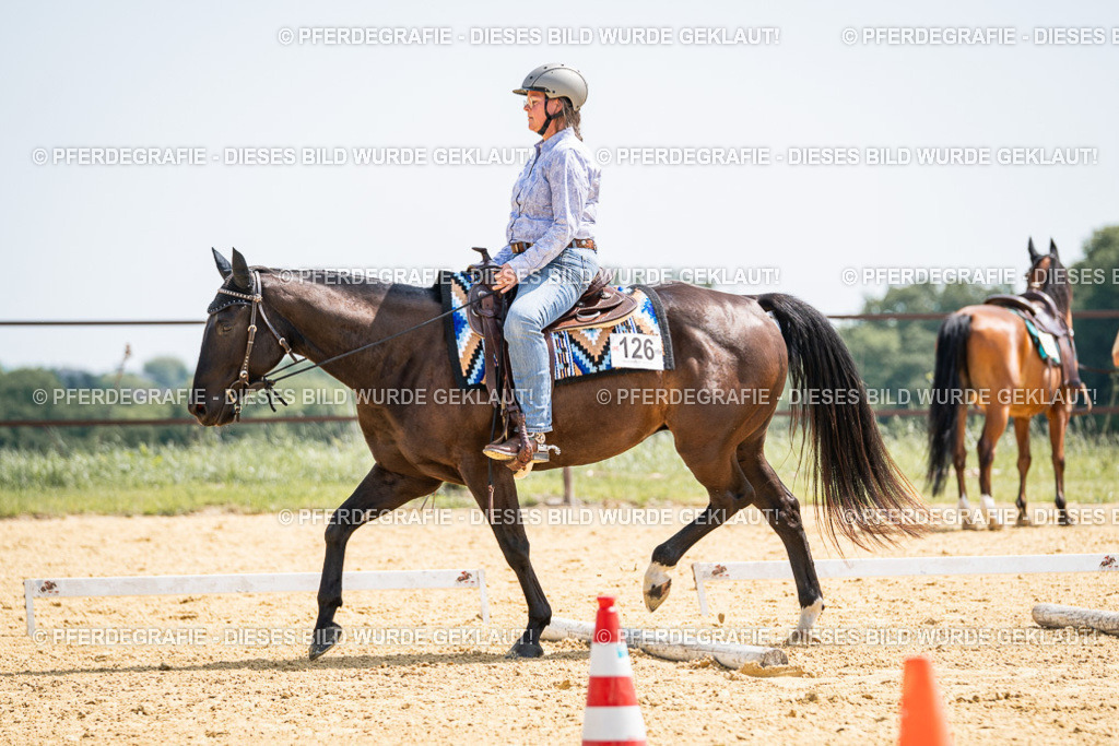 DSC00626 | Pferdegrafie