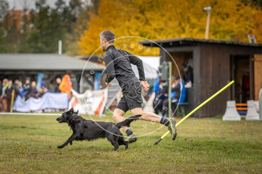 Pfotenfotografie_DV3A5072 | Hundefotografie, Tierfotograf, Pfotenfotografie, Fotoshooting Hund, Hunde Portrait, Hundesport, Hundeportraits, Heideshooting, Hunde, Sportfotograf, Hundefotograf, Turnierhundsport, THS,  - Realisiert mit Pictrs.com