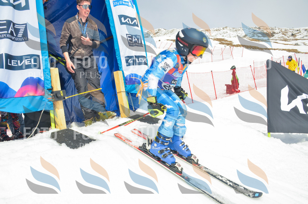 _ELE8007 | holidayphoto