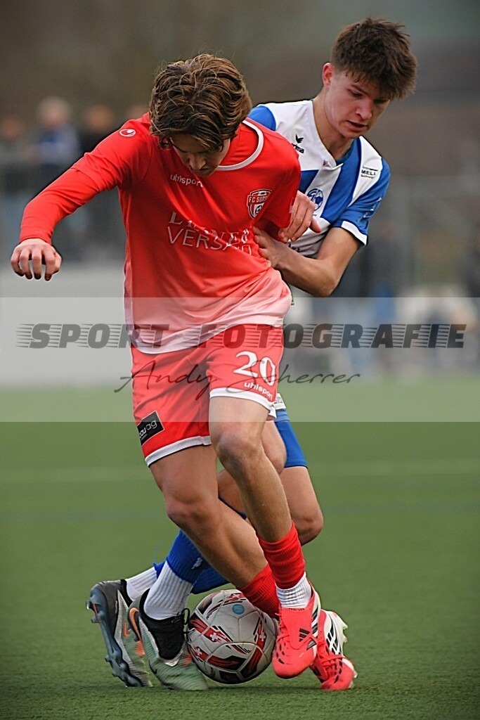 aaaaaDSC_0554 | Kaufen Sie Sportbilder im Onlineshop von Andy Scherrer Sportfotografie. Faszinierende Bilder von Sportevents aus der ganzen Schweiz. Fussball, Frauenfussball, Unihockey, Handball, Schwingen und weiteren Sportarten. - Realisiert mit Pictrs.com