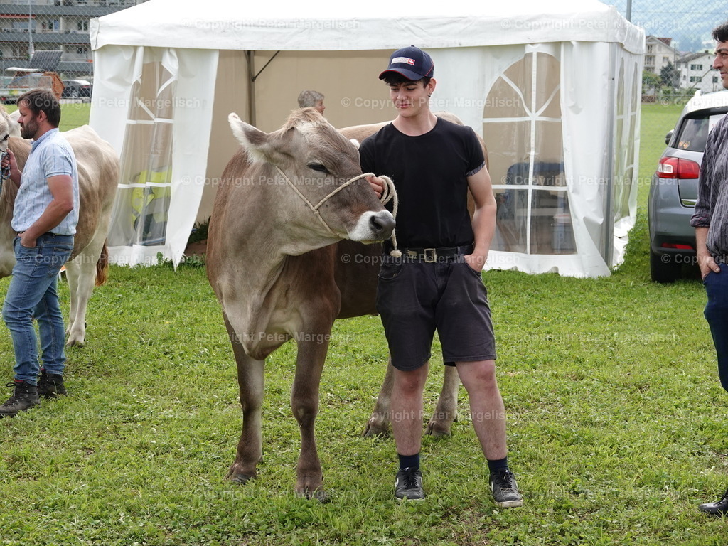 DSC06718 | Schwingen - Realisiert mit Pictrs.com