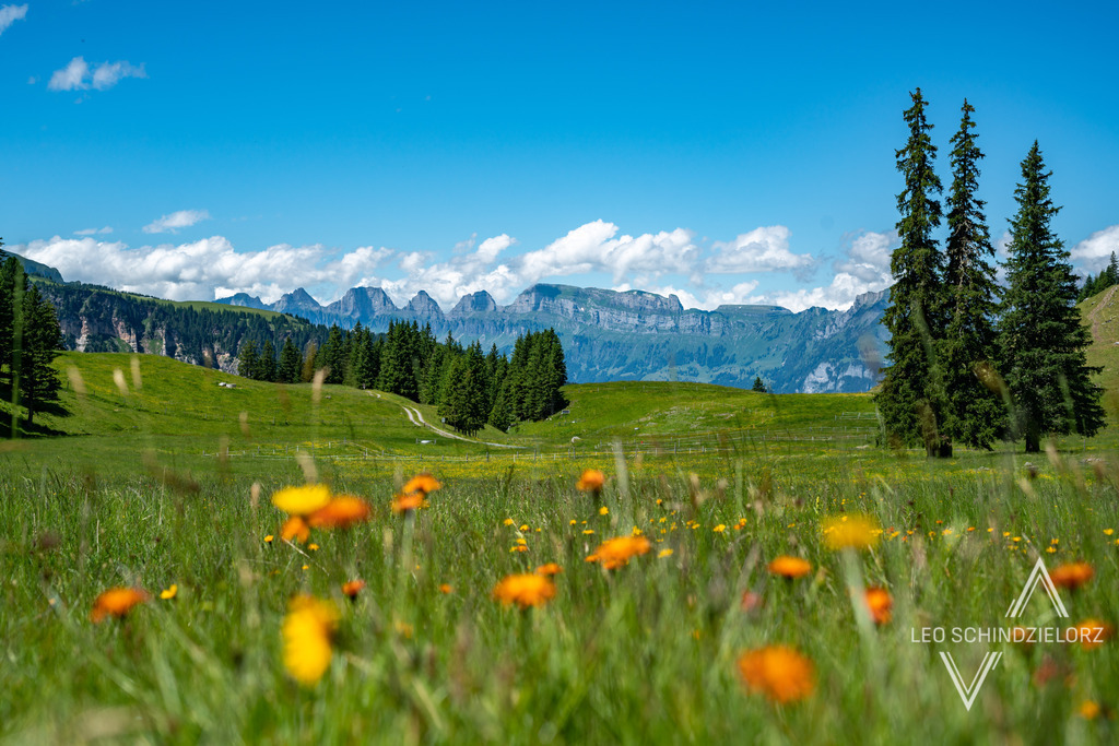 Fotografie_Leo_Schindzielorz_CH_Sommer_Pizol_20220625_A7R06390_org | Atmosphärische Landschaftsbilder & Drohnenaufnahmen aus dem Allgäu, Tirol, Südtirol & der Schweiz – ideal für Leinwanddrucke & zur stilvollen Raumgestaltung. - Realisiert mit Pictrs.com