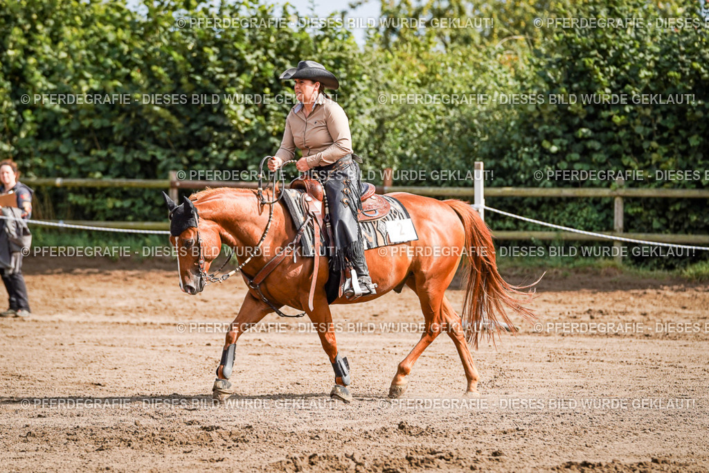 DSC09568 | Pferdegrafie