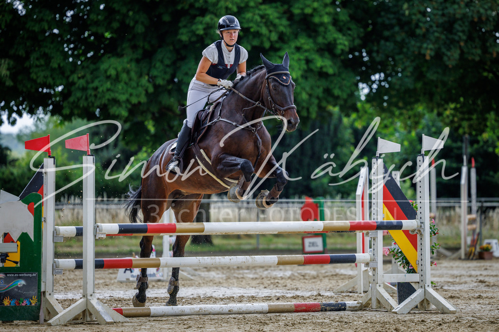 20260705-_3LI4439 | Tierfotografie Pferde, Hunde, Katzen, Haustiere.
Turnierfotografie Reitturniere, Reiten, Springreiten, Dressur in Hanau, dem Main-Kinzig-Kreis und dem Rhein-Main- Gebiet um Frankfurt