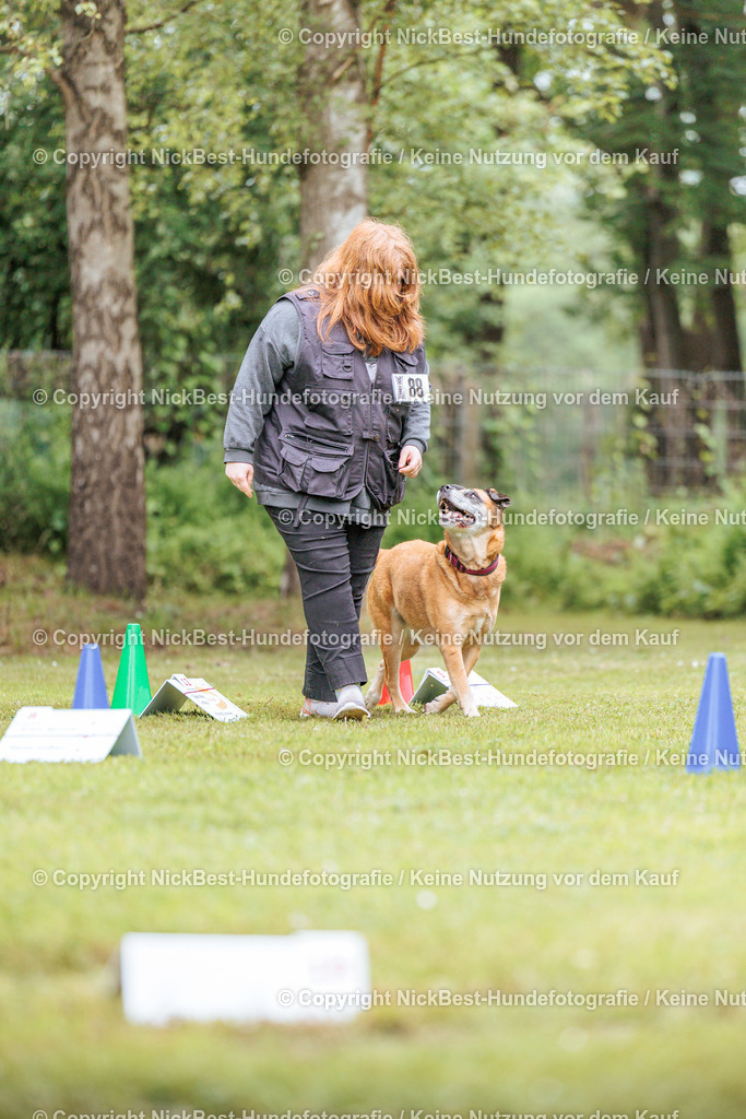 RO-Blumenthal-2026-Nickbest-Hundefotografie-4244 | Dein Hund! Dein Moment! Deine Erinnerungen! Hundefotografie in Bremen Blumenthal. Ich fange die besonderen Momente deines Vierbeiners ein – ob Indoor mit Blitzanlage oder in der freien Natur. Sicher dir dein Moment und dein Termin für eure Erinnerungen.