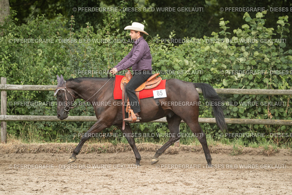 DSC03233 | Pferdegrafie