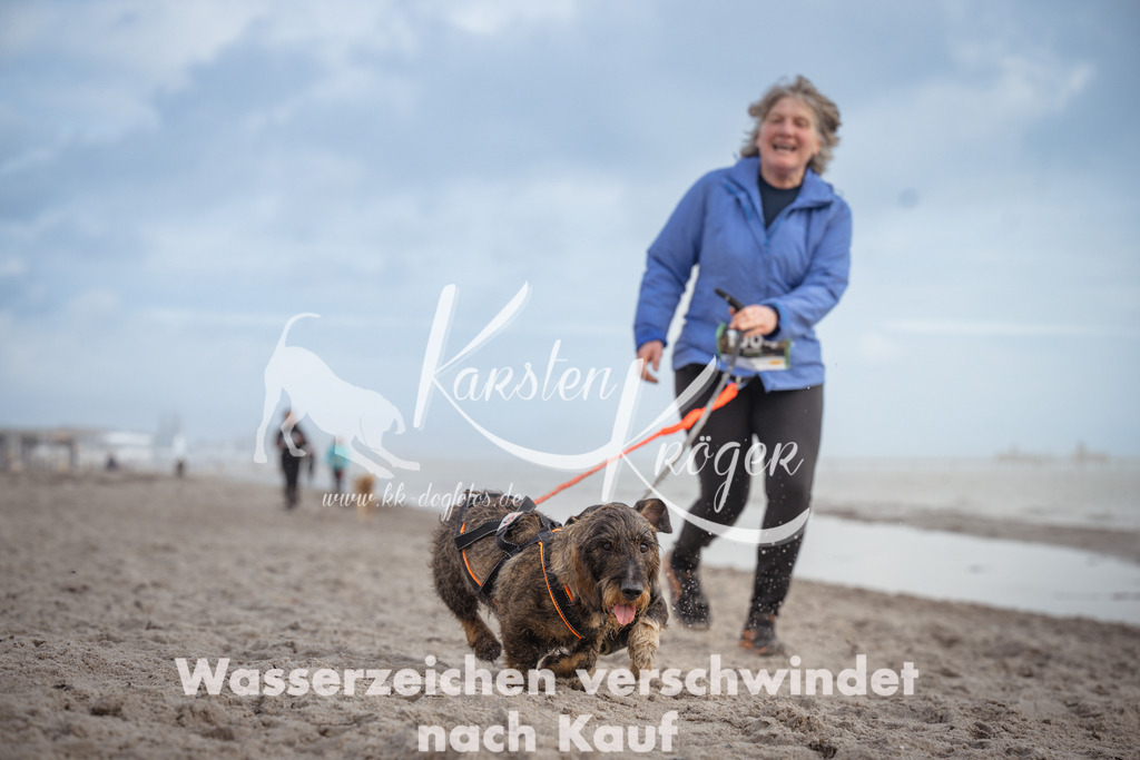1211_ZZ94670 | kk-dogfotos