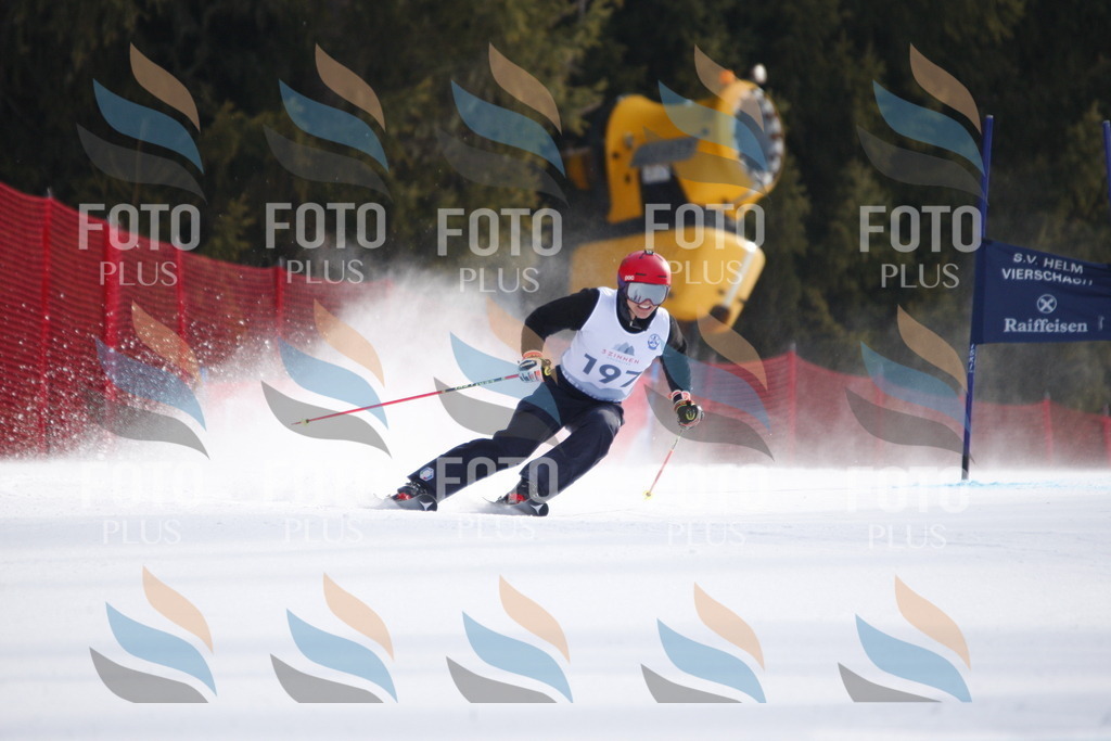 D7981 | holidayphoto