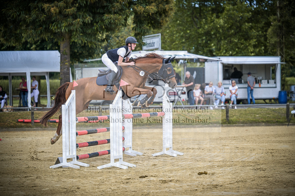 DOS_0779 | Entdecke hochwertige Reitturnierfotos von Foto Oger. Professionell, emotional und authentisch – jetzt Lieblingsmomente im Shop bestellen.Deutschlandweite Turnierfotografie. - Realisiert mit Pictrs.com