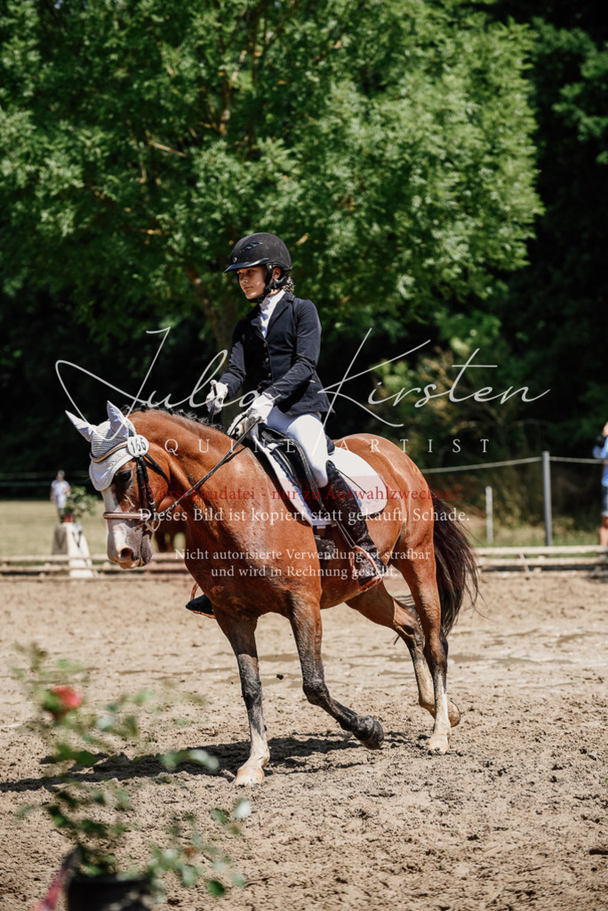 DSC_1922 | Pferde- und Turnierfotografie in Westsachsen. Pferdeportraits, Auftragszeichnungen und intuitive Kunst.
