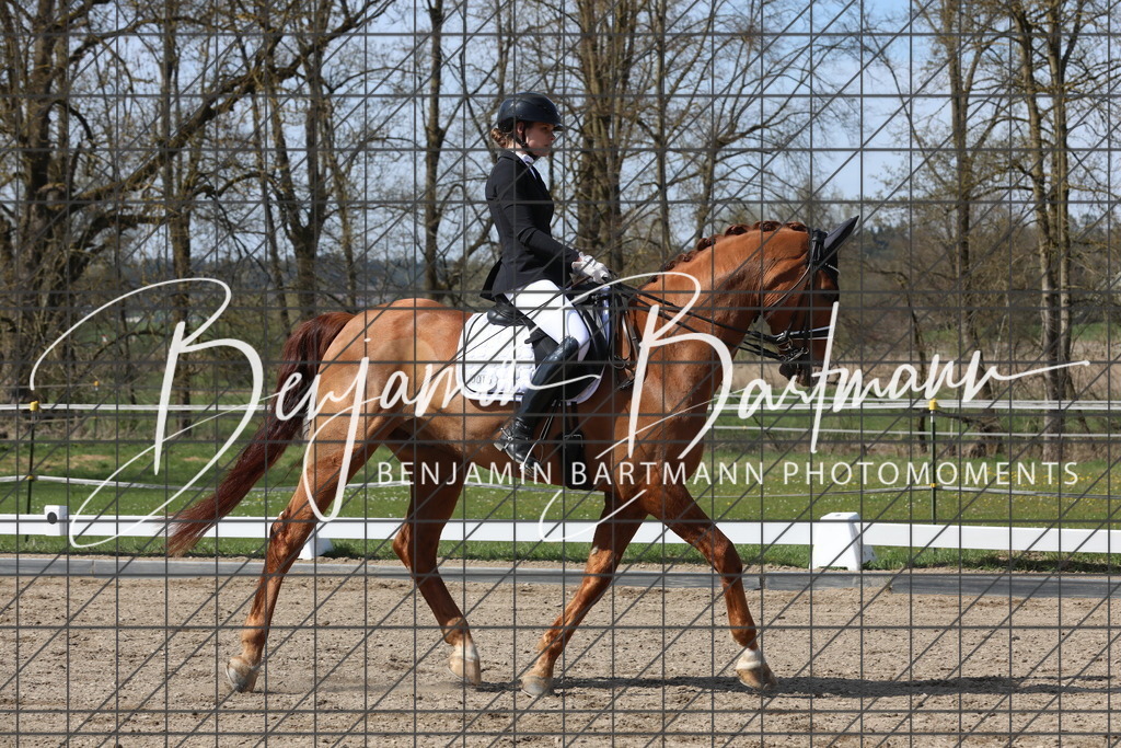 AZ2A5794 | Benjamin Bartmann Photomoments