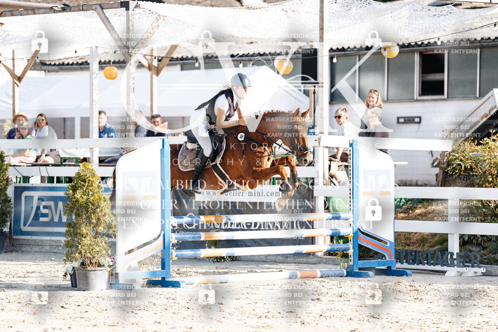 CK909605 | Turnierfotografie Pferdefotografie Trier Rheinland-Pfalz Pferdesport Reitsport Tierfotografie Sportfotografie Pferdevideo Pferdevideografie Equestrianvideography equestrianphotography  - Realisiert mit Pictrs.com