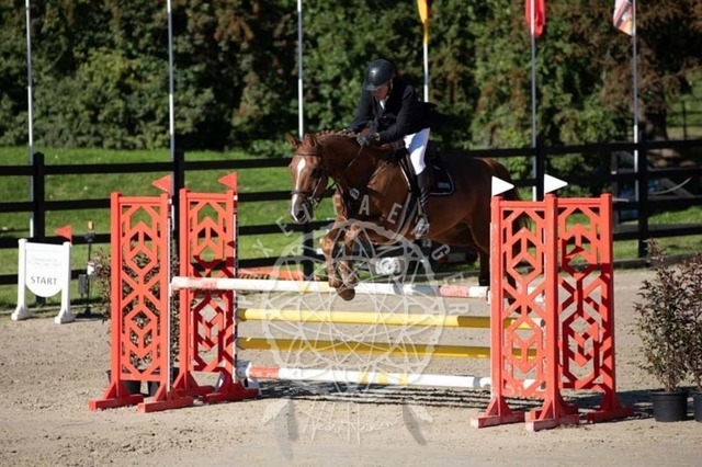 2B4A0595 | pixelfaenger - Realisiert mit Pictrs.com