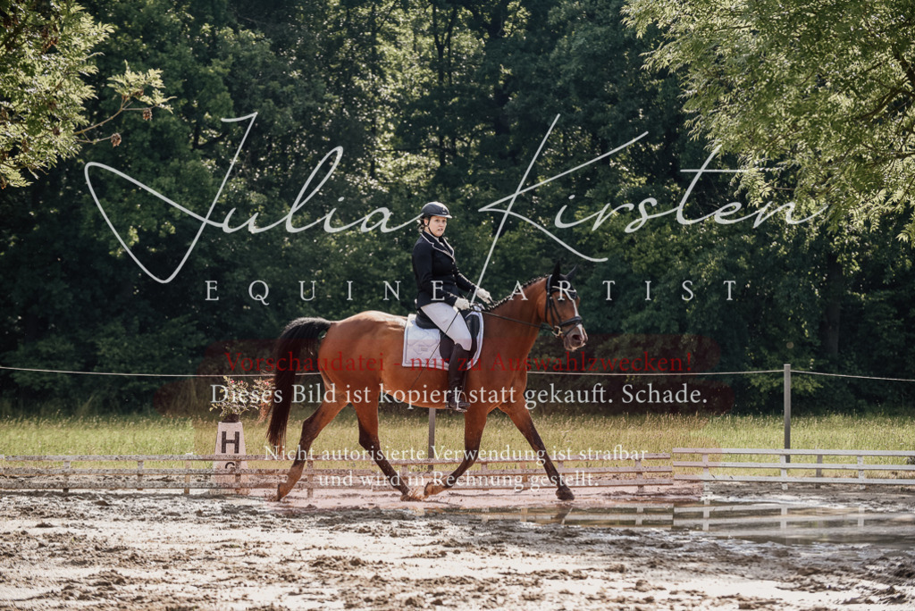 DSC_9055 | Pferde- und Turnierfotografie in Westsachsen. Pferdeportraits, Auftragszeichnungen und intuitive Kunst.