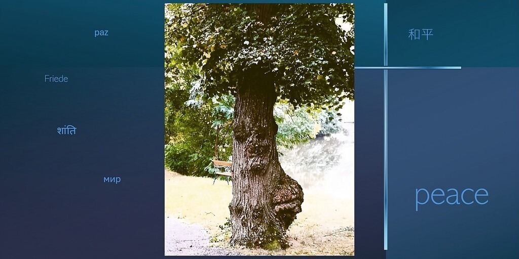 sleep guard TREE | Ein „sleep guard picture“ von JesFotoArt ist nicht nur aber ausBESPROCHEN gut für Schlafräume geeignet. Das spezielle Motiv zu einer besonderen Konstellation an einem speziellen Ort festgehalten sowie jedes Bild in seiner Entstehung mit einem archaischen Spruch in den sechs bedeutenden Weltsprachen besprochen, im Metall gebunden,  macht ein sleep guard picture aus.Das sleep guard picture am Kopfende des Ruheortes aufgehängt soll die negativen Schwingungen der Raumatmosphäre ableiten und die positiven Schwingungen bündeln und an den Ruhesuchenden abstrahlen, sodass dieser [mit sich selbst im Reinen vorausgesetzt] zu einem Schlaf in Frieden finden kann. 