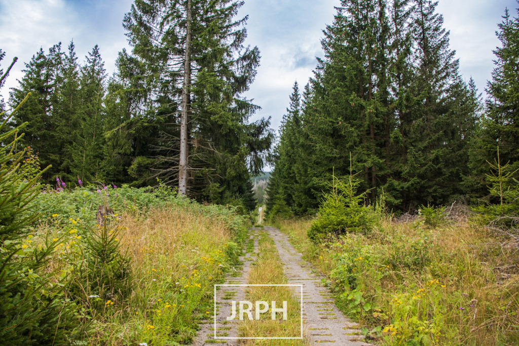 IMG_7923 | jrph - Realisiert mit Pictrs.com