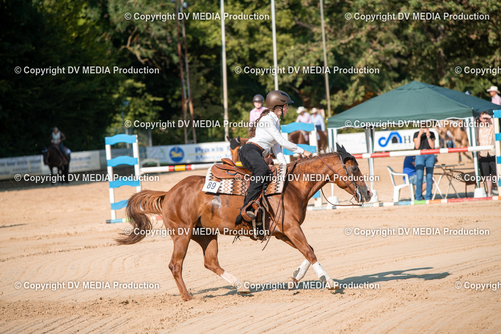 ZS2_8824 | dv-media-shop - Realisiert mit Pictrs.com