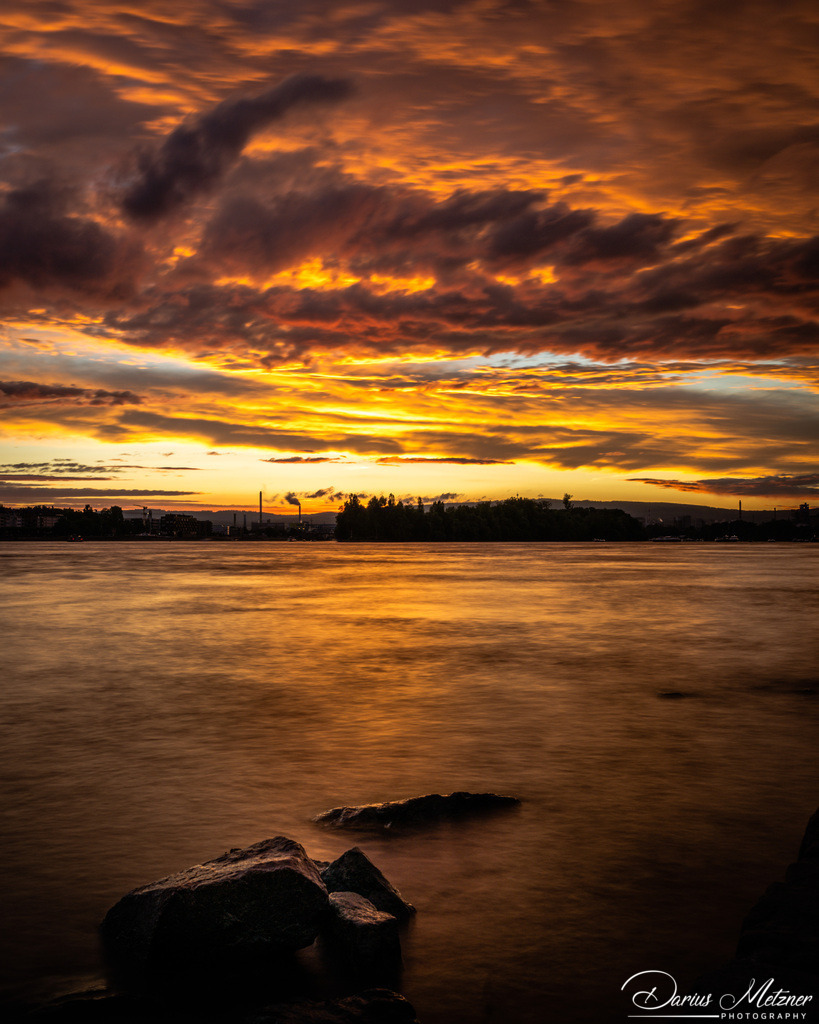 _DSC2269 | Fotografien, Fotos und Bilder aus Mainz, Frankfurt, Wiesbaden und anderen Orten auf der Welt - Fotografiert von Darius Metzner