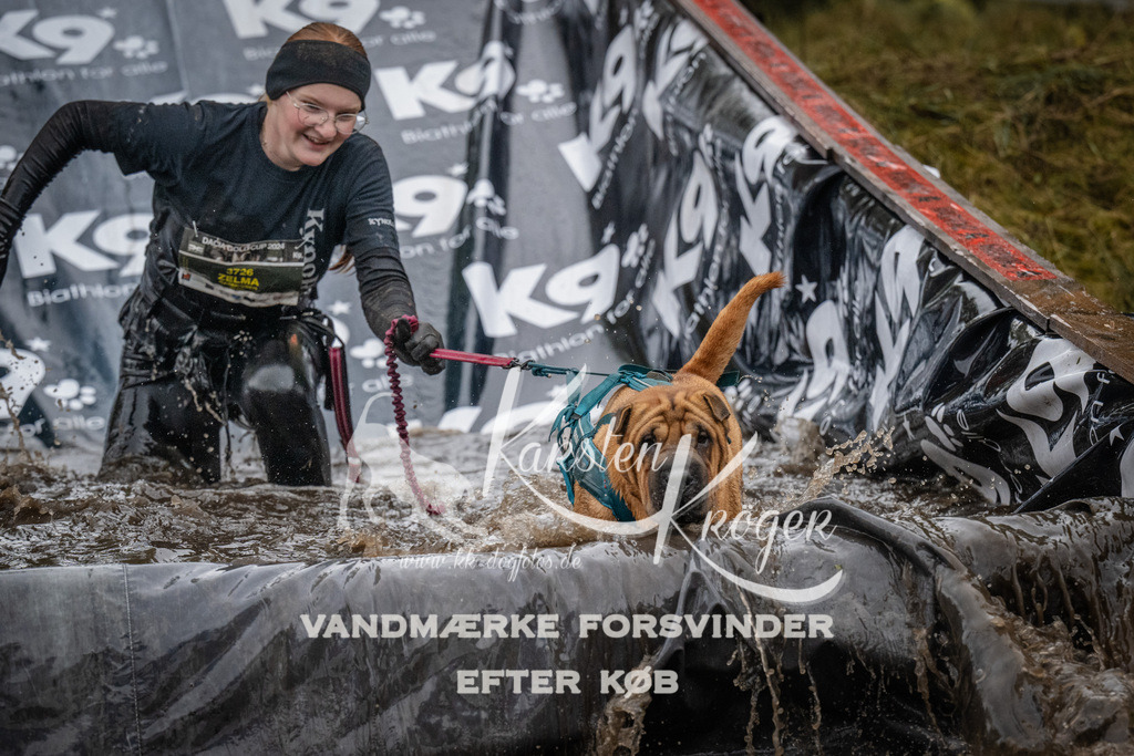1155_ZZ93875 | kk-dogfotos