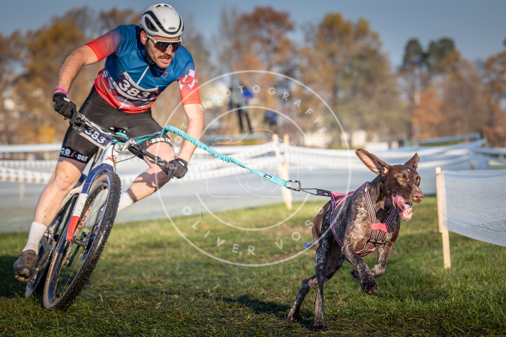 CaniXpix_0L8A3789 | Hundefotografie, Tierfotograf, Pfotenfotografie, Fotoshooting Hund, Hunde Portrait, Hundesport, Hundeportraits, Heideshooting, Hunde, Sportfotograf, Hundefotograf, Turnierhundsport, THS,  - Realisiert mit Pictrs.com