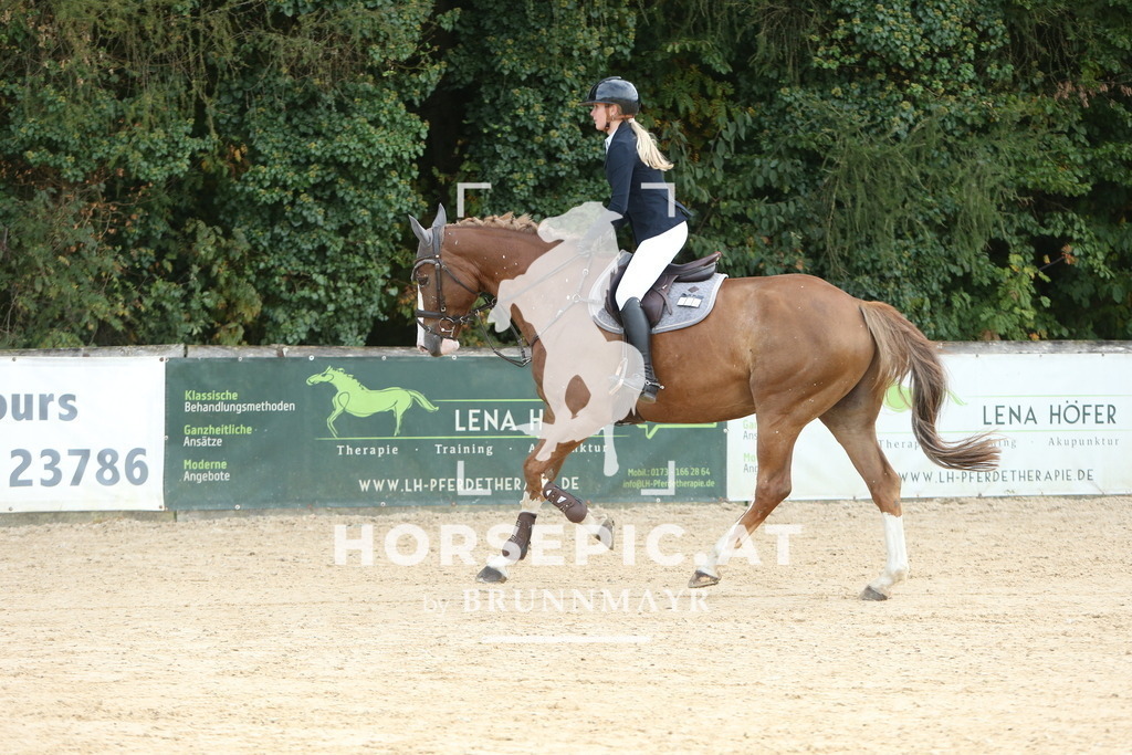 DL2Q7329 | Willkommen bei Brunnmayr - Design & Fotografie – Ihrem Spezialisten für Reitturniere und Pferdeveranstaltungen in Oberösterreich, Salzburg und Bayern! Seit über 17 Jahren sind wir leidenschaftlich dabei.