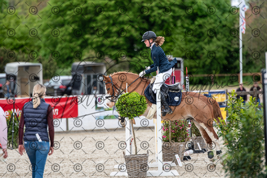 KPT_6432 | andre_photographic