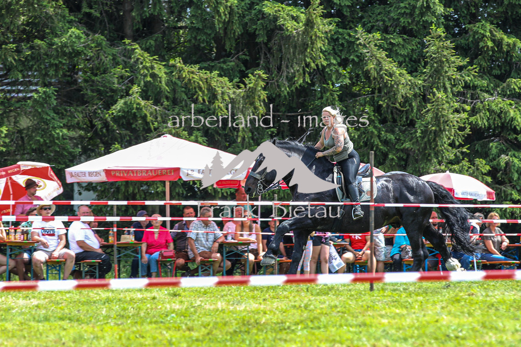 OE7A4142 | Beim Zugpferdetreffen in Poschedtsried galt es verschiedene Wettbewerbe zu meistern, Einzelrennen im Reiten, Traktorpulling und auch ein Hunderennen wurde veranstaltet