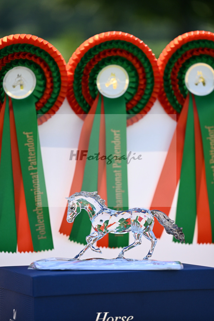 Impressionen_27230005 | hf-fotografie - Realisiert mit Pictrs.com