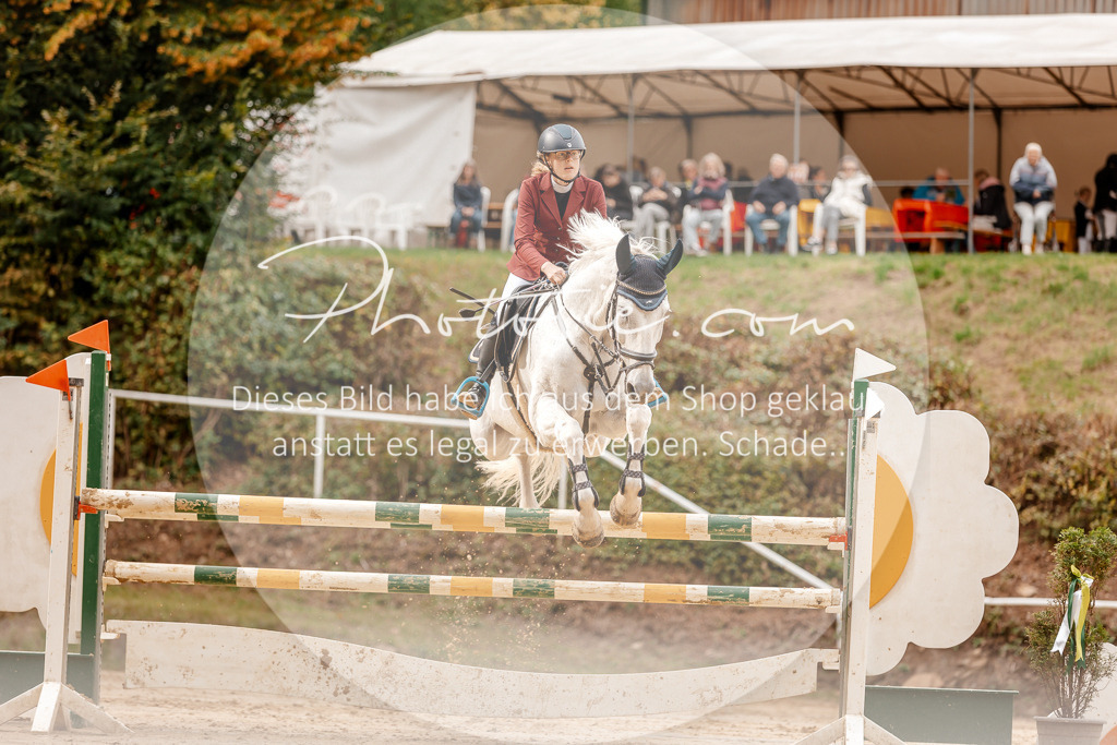 3I6A8107 | Stimmungsvolle Portraits und Reitsportfotografie im Ruhrgebiet und im Münsterland.

Pferdefotografie, Hundefotografie, Tierfotografie, Reportagen, Portraits von Tier und Mensch, Turnierfotografie in Bochum, Recklinghausen, Marl, Haltern am See, Dülmen.. - Realisiert mit Pictrs.com